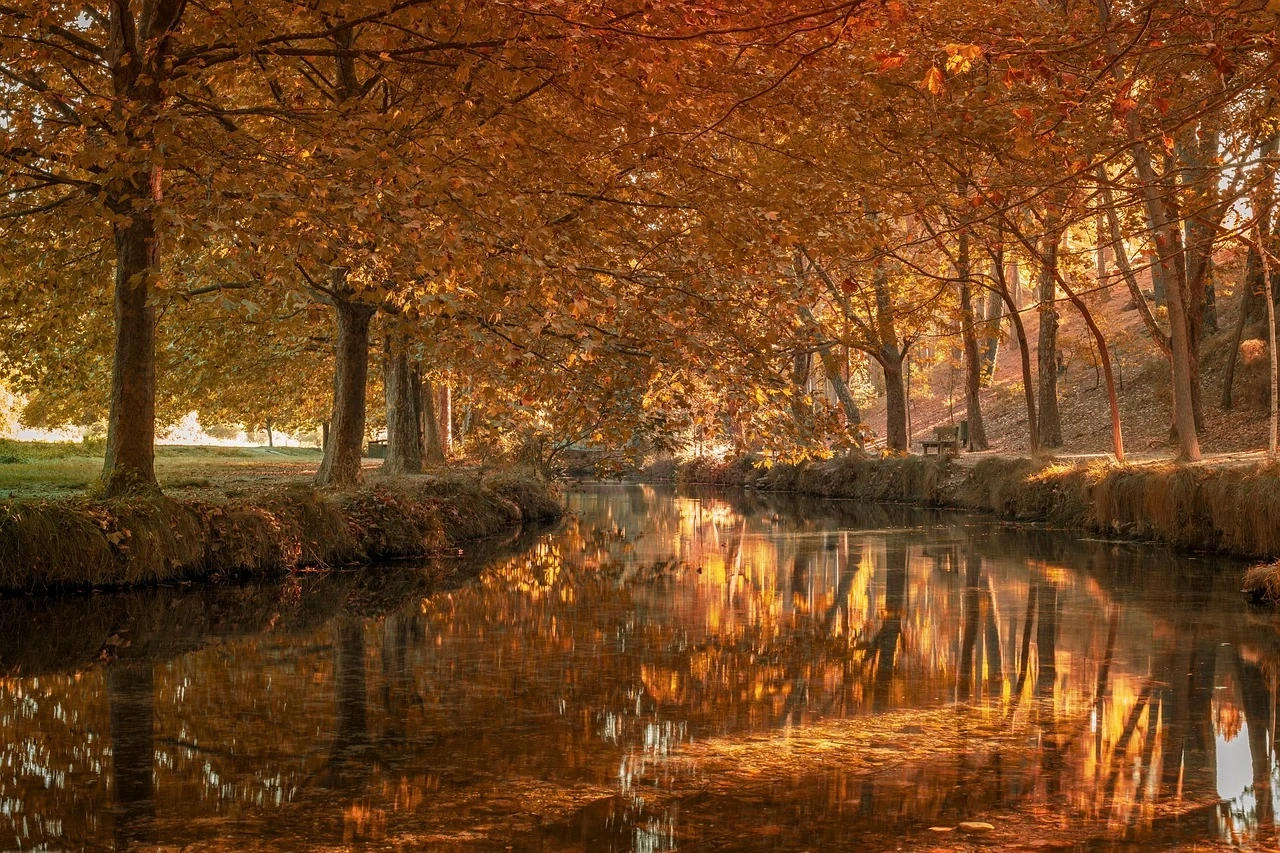 Como Usar Ferramentas de IA para Pesquisa de Palavra-Chave Avançada em 2026